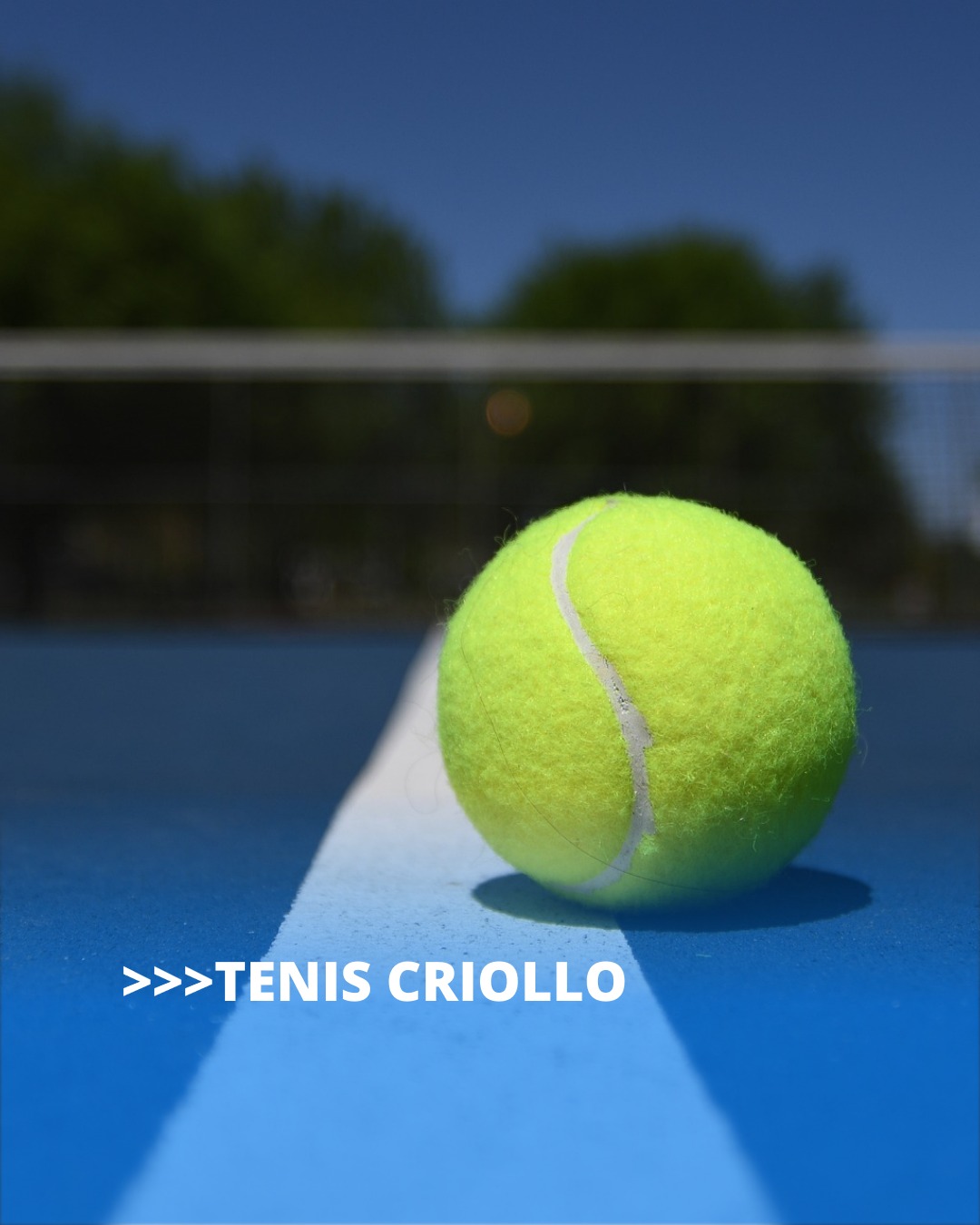 Taller de Tenis Criollo